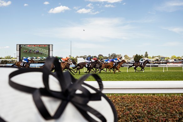 Hats and horses at the 2026 Caulfield Cup.