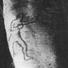 James Smith’s arm was thrown up by a shark in the Coogee Aquarium in 1935.