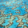 HSBC, Queensland government buy 'credits' to protect Great Barrier Reef