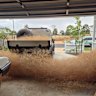 Tumbleweed blew into an Eynesbury home on January 9