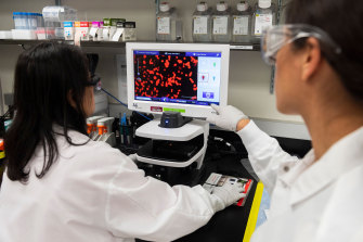 A large Novavax study shows the COVID-19 vaccine has high overall efficacy.