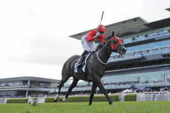 Sam Clipperton sits up on Mazu at the end of the Arrowfield Sprint last month.
