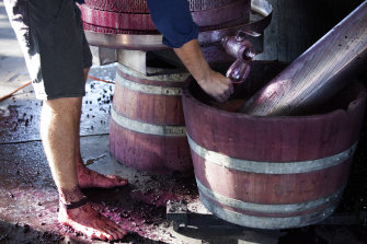 Shiraz and shiraz blends are a specialty of Gibson, in South Australia's Barossa Valley.