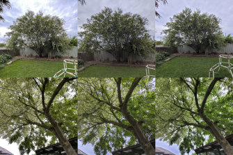 Some tree shots using the wide angle lenses. iPhone on left, Pixel centre, Galaxy right. Notice how much more natural the sky looks in the upper shot on iPhone, although it hasn't done quite as well in the lower image.
