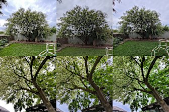 Some tree shots using the wide angle lenses. iPhone on left, Pixel centre, Galaxy right. Notice how much more natural the sky looks in the upper shot on iPhone, although it hasn't done quite as well in the lower image.
