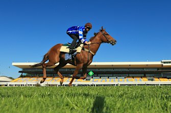 Gytrash was â€œsatisfactory without being sensationalâ€ in an 800m trial on Tuesday.