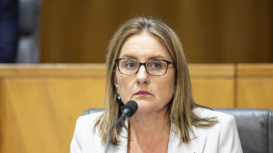 Victorian Premier Jacinta Allan says offshore wind is a key part of both the state and federal government’s renewable energy targets.