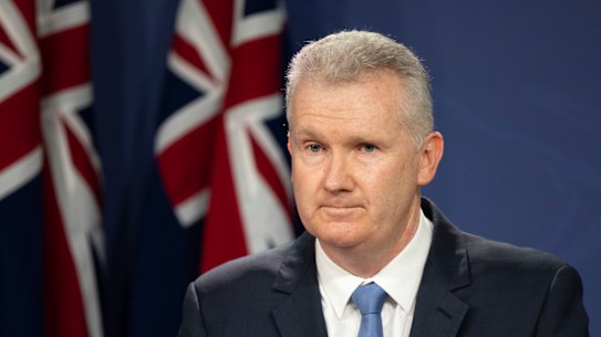 Workplace Relations Minister Tony Burke wants states and territories to consider a domestic ban of engineered stone.