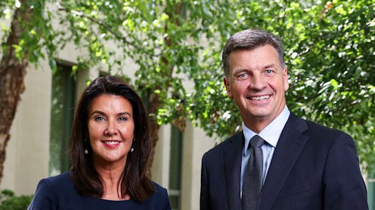 New Liberal leader Angus Taylor, pictured with his deputy Jane Hume, is expected to announce his new line-up in the coming days. 
