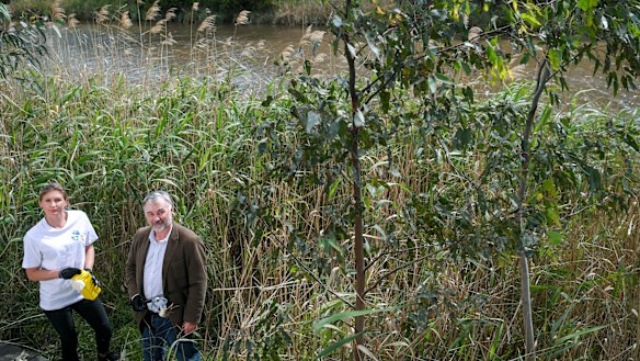 Nicole Kowalczyk and Andrew Kelly in the reed beds along the banks of the Yarra.