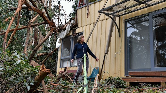 Lyn Osborne has second thoughts about rebuilding in Kalorama after the storm.