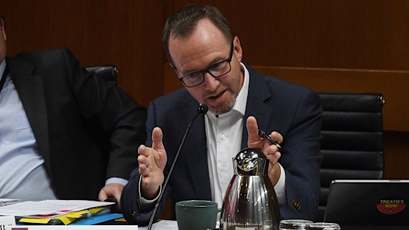 Greens MLC and committee member David Shoebridge.