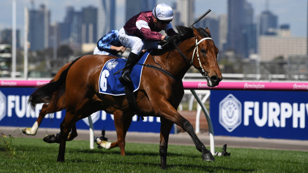 Lion brews Furphy which is brand partner of the Melbourne Cup.