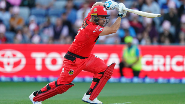 Aaron Finch bats for the Melbourne Renegades.