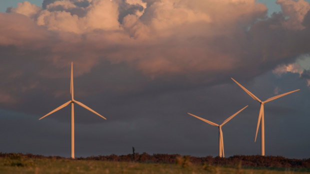 There was a 19 per cent increase in wind power last year.