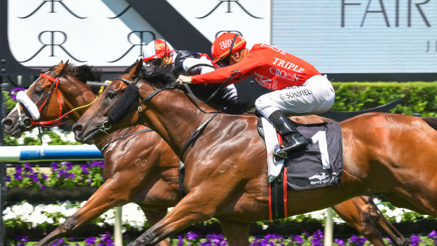 On the way up: Emperor's Way is out to show he could be a Metropolitan contender at Rosehill on Saturday.