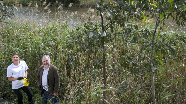 Nicole Kowalczyk and Andrew Kelly in the reed beds along the banks of the Yarra.