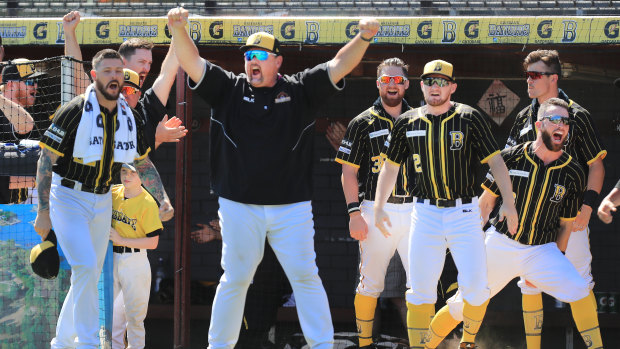 Bandits manager David Nilsson and his players celebrate a scoring play against the Cavalry on Sunday.