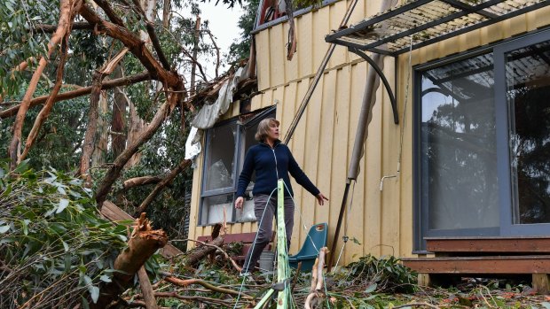 Lyn Osborne has second thoughts about rebuilding in Kalorama after the storm.