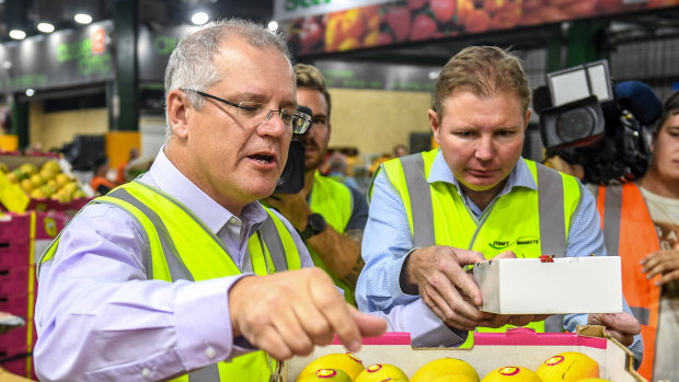 Scott Morrison and Craig Laundy handle fruit at the Homebush markets in 2017.