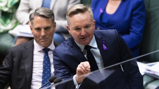 Climate Change and Energy Minister Chris Bowen has ruled out a blanket ban on new fossil fuel projects.