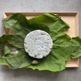 Chef Ben Devlin’s roquefort-style cheese, aged in fig leaf.