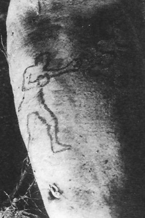 James Smith's arm that was thrown up by a shark in the Coogee Aquarium in 1935.