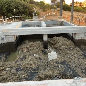Some of the ‘fatberg’ in question.
