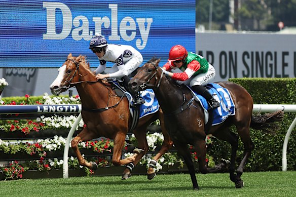 La Chica Agraria (derecha) lucha contra Spicy Miss y gana el Lonhro Plate.