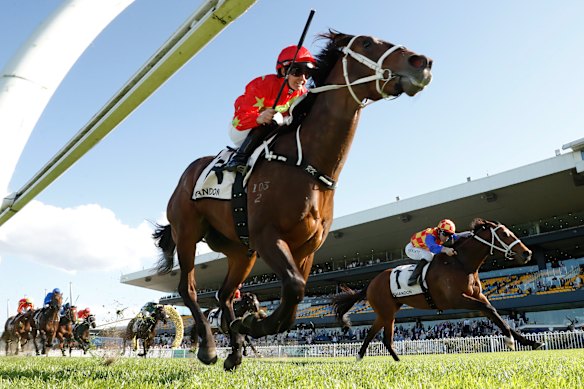 Autumn Boy (right) runs second to Sixties in the Ming Dynasty at Rosehill.