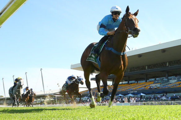 Naval College wins in race-record time at Rosehill last start.