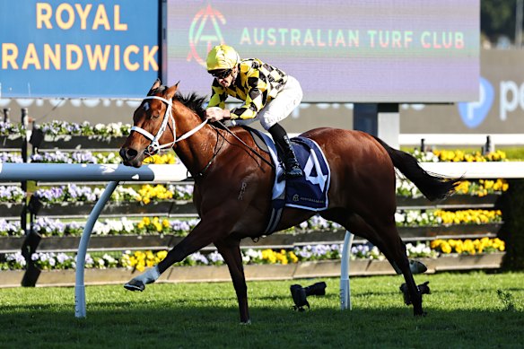 Autumn Glow lifts to win the 7 Stakes at Randwick.