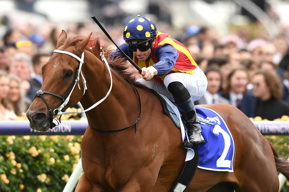 Nature Strip has been crowned Australian Racehorse of the Year.