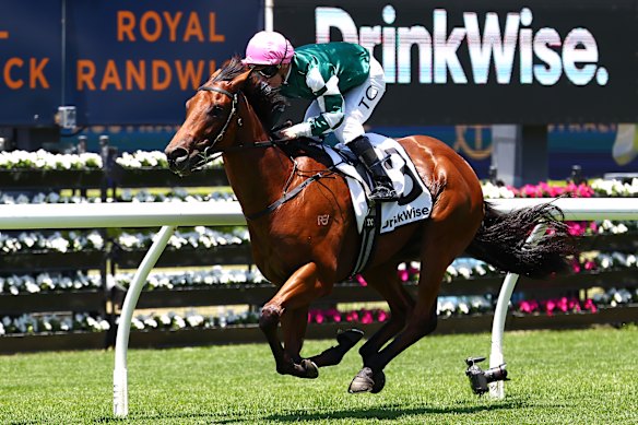 Race-by-race preview and tips for Randwick on Saturday