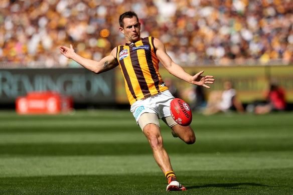 Former Hawks skipper Luke Hodge experienced painful defeats in preliminary finals and grand finals before he became a premiership skipper.