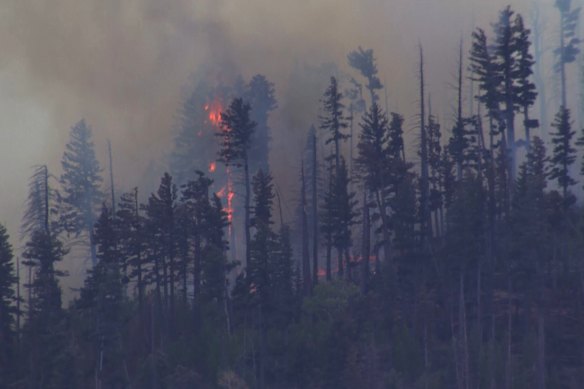 Smoke rises from a fire that started after the medical plane crashed in a mountainous area outside Ruidoso, New Mexico on May 14.