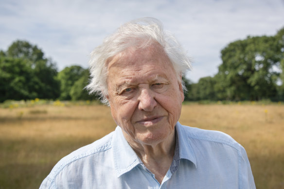 Sir David Attenborough’s new show is A Perfect Planet
