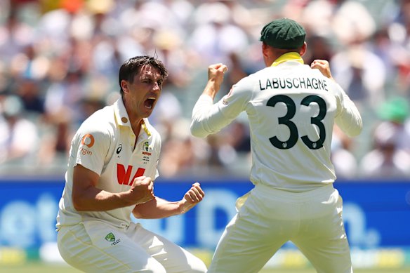 Pat Cummins of Australia celebrates taking the wicket of Joe Root of England.