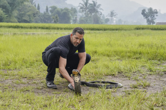 Blaine attempting to befriend a King Cobra in <i>Do Not Attempt</i>.
