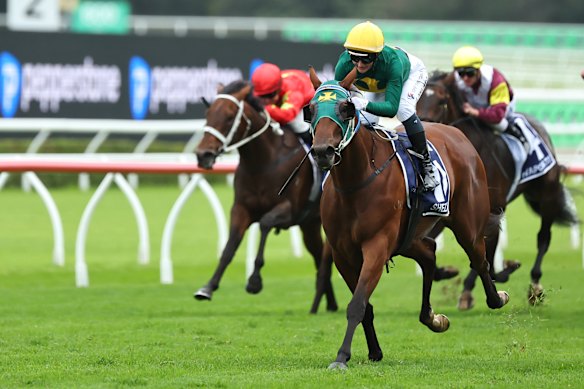 Sheza Alibi and Jamie Melham cruise to victory in the Doncaster.