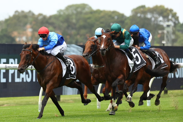 Tim Clark rides Prost to victory in the Canonbury Stakes on Saturday.