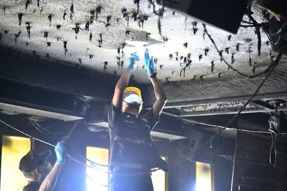I fiori sono stati installati sul soffitto per creare una tettoia verde, soprattutto attorno al palco e alle aree del bar.