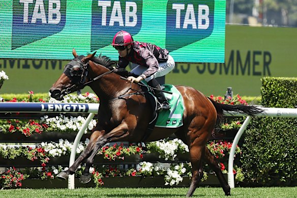 Fingers Hunter wins the Highway Handicap at Randwick in February.