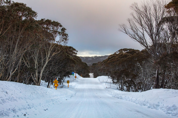 Snow at Mount Hotham could become less common if climate change continues, a government report showed. 