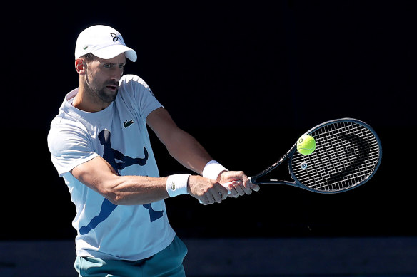 Familiar territory: Novak Djokovic on centre court.