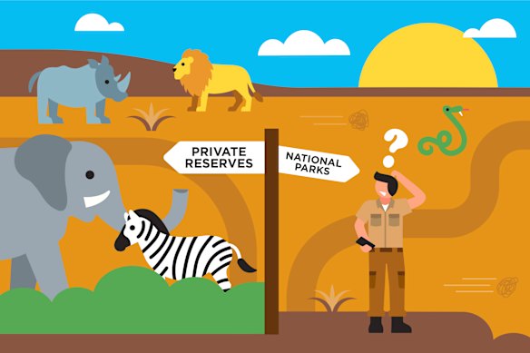 Illustration: Greg Straight