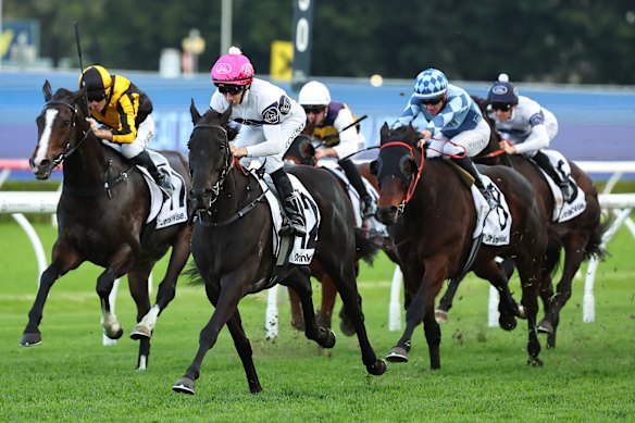 Midnight Dynamite, ridden by Jason Collett, wins the Civic Stakes at Randwick.