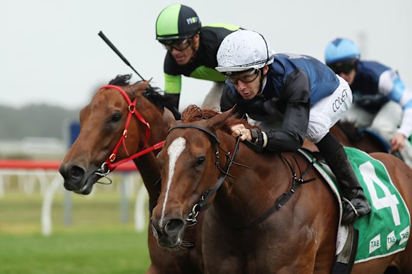 Racing is on at Kembla Grange on Wednesday.