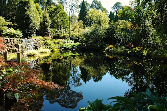 As gardens re-open, pop on a beanie and experience a winter wonderland