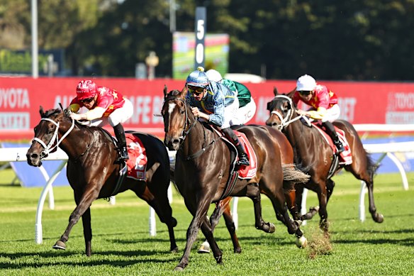Matias wins the Frank Packer Plate under Nash Rawiller.